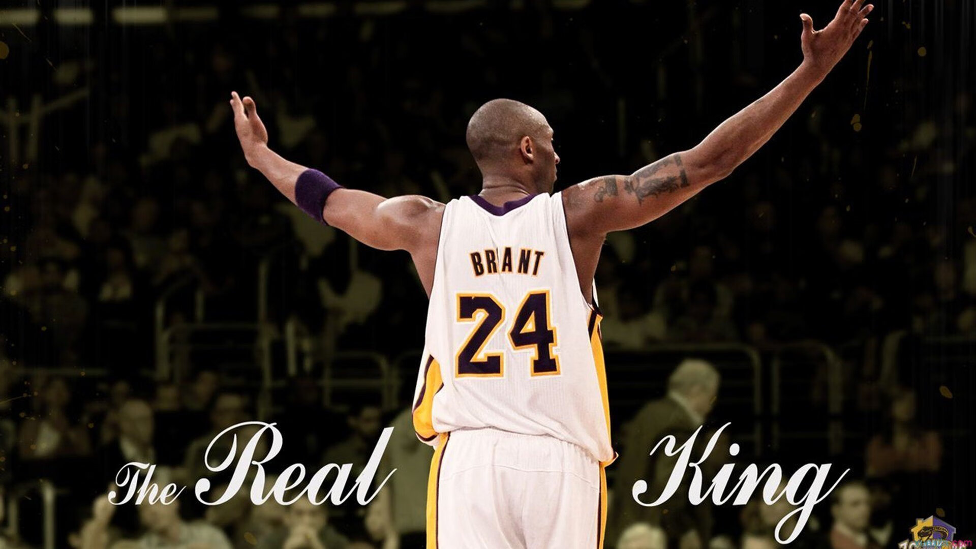 九游VIP-红土战袍下的澳网利刃，纳达尔如何用蒙特卡洛的火焰点亮硬地征途